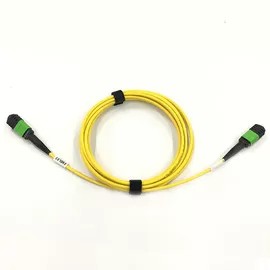 Cable de conexión monomodo 12F MPO a MPO