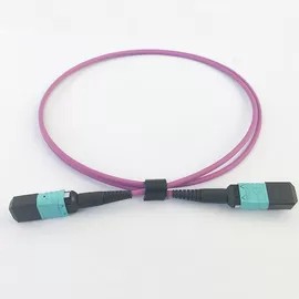 Cordón de conexión OM4